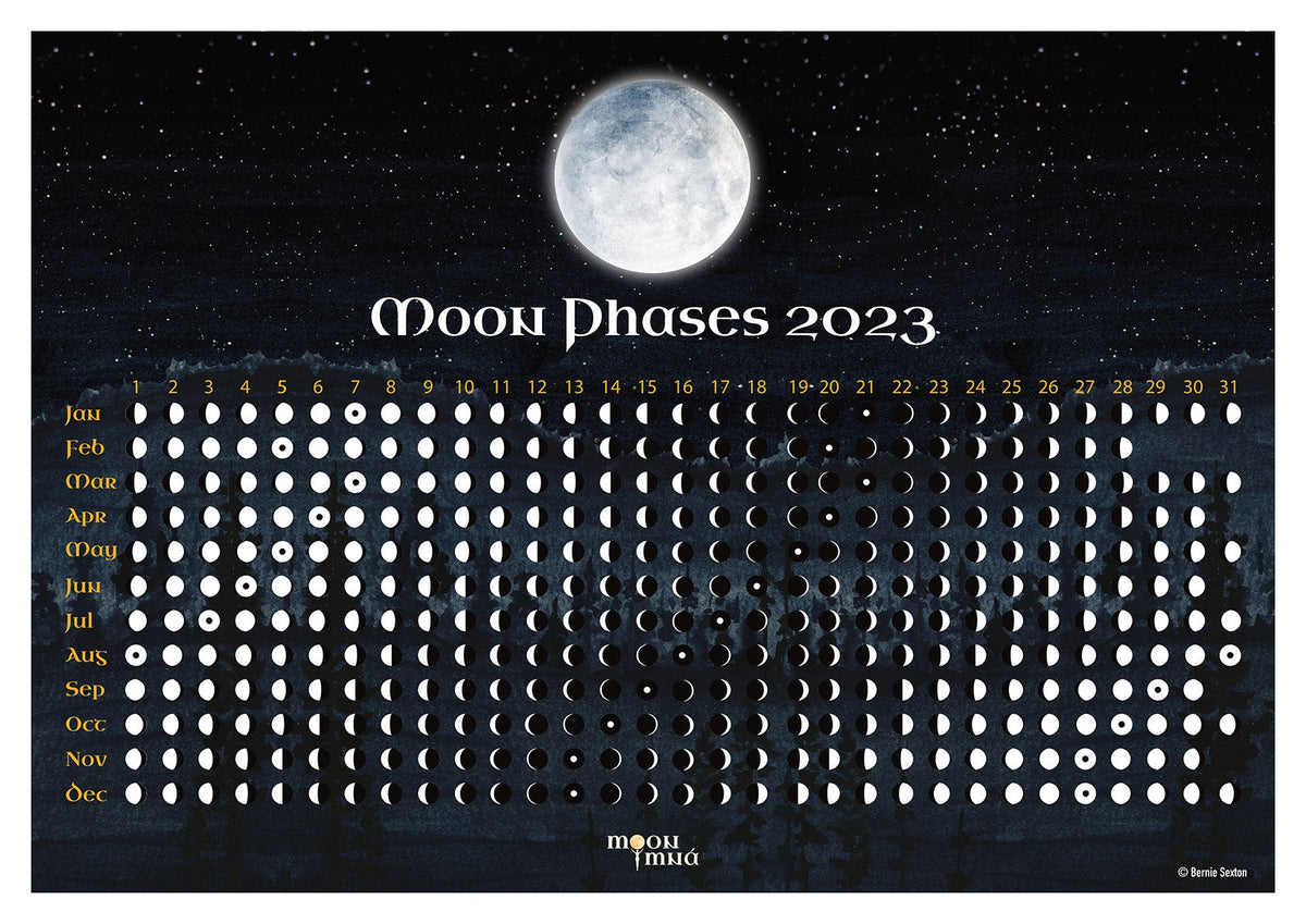 Moon Phases 2024 Wall Art Poster FREE Download* – Moon Mna - Womens Celtic  Moon Circles