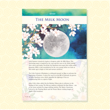 Load image into Gallery viewer, Celtic Moon - Perpetual Diary &amp; Monthly Guide