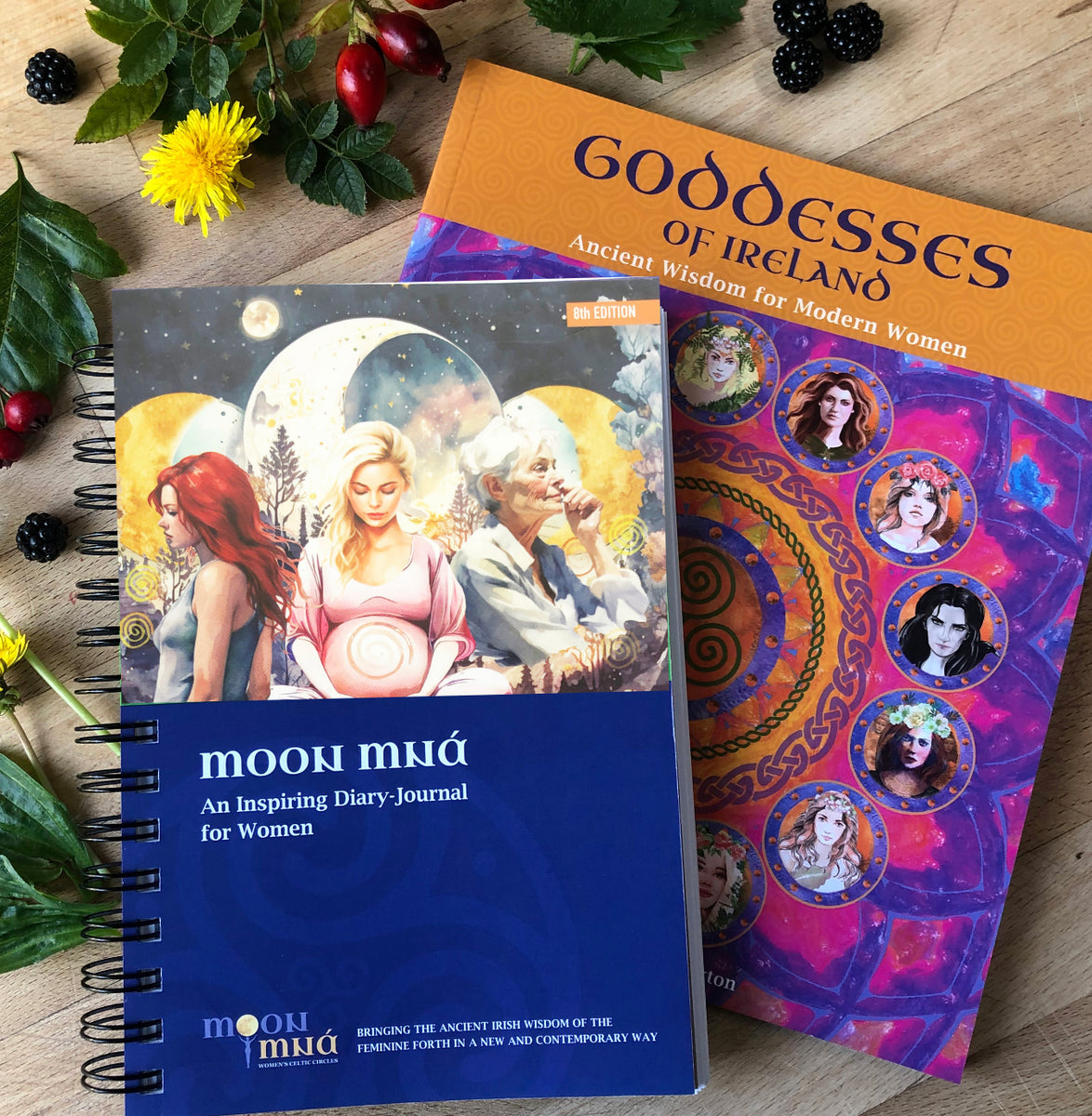 DiaryJournal 2024 and Irish Goddesses Book BUNDLE Moon Mna Womens