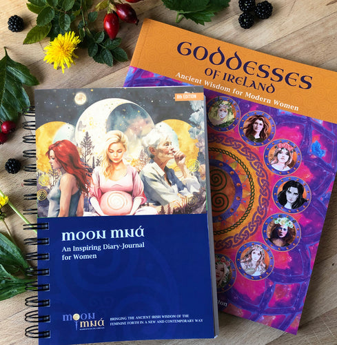 Diary-Journal 2024 and Irish Goddesses Book BUNDLE